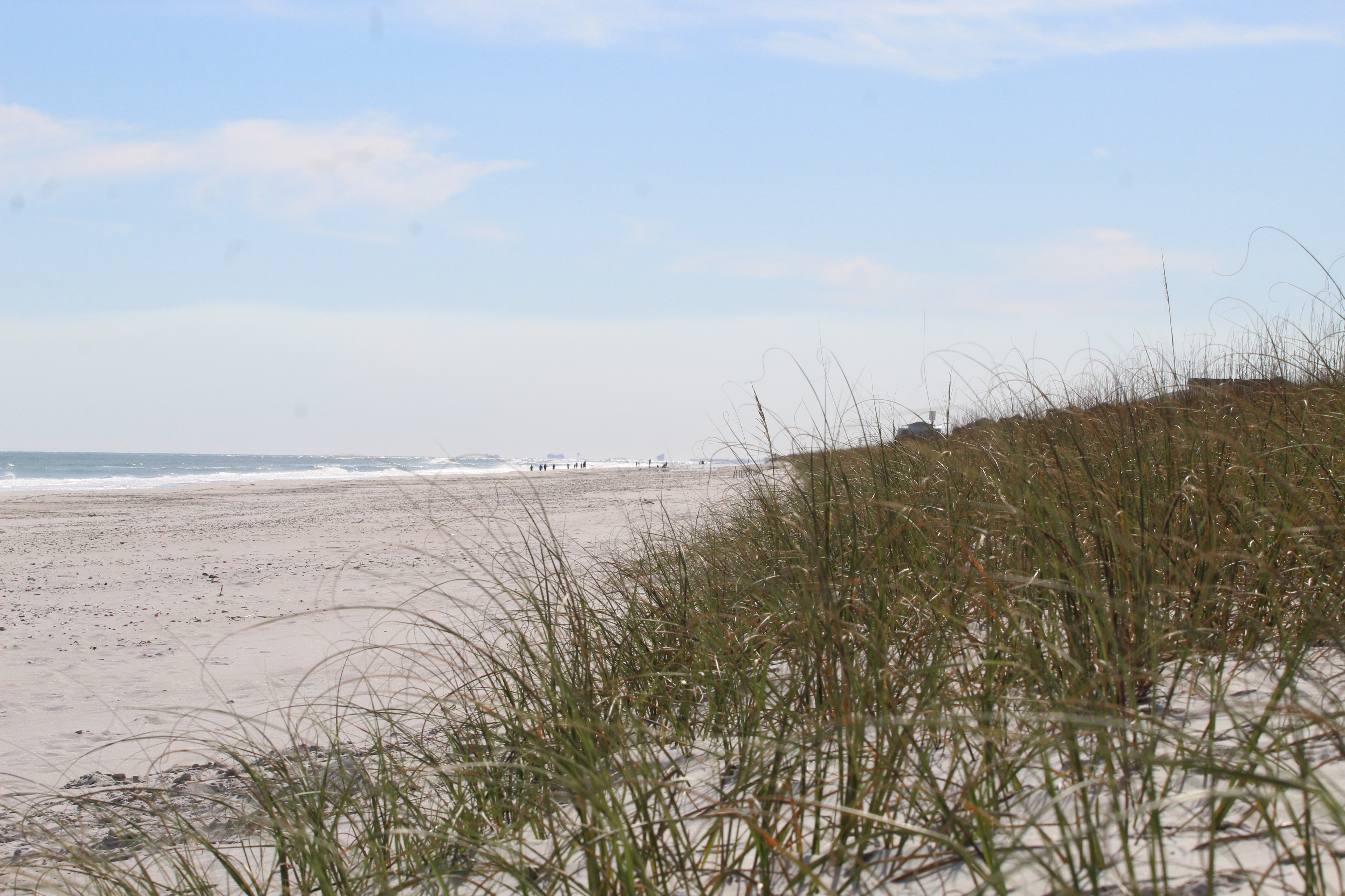 sand dunes